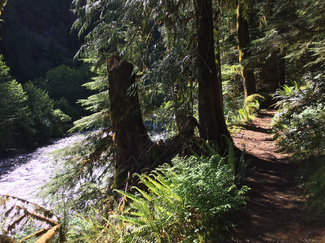 McKenzie River National Recreation Trail-尤金必去景点