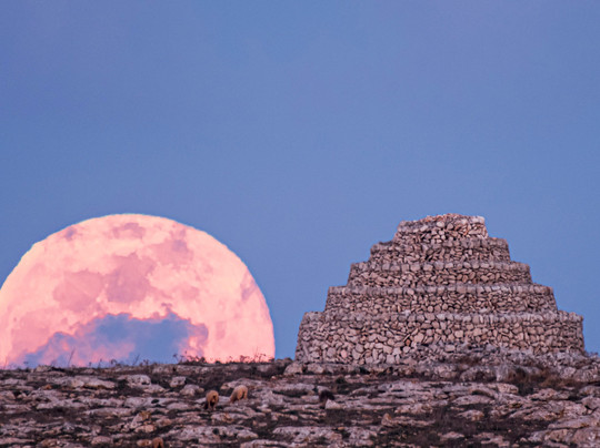Polaris Menorca-休达德亚必去景点