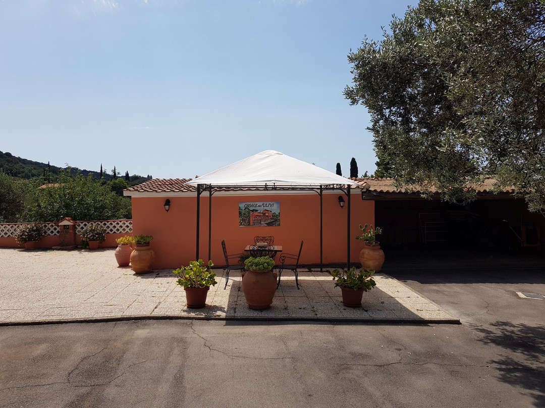 Casale gli Ulivi主图