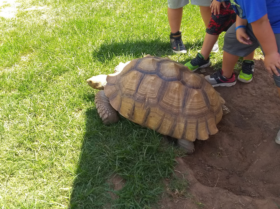Lost Creek Safari-斯蒂尔沃特必去景点