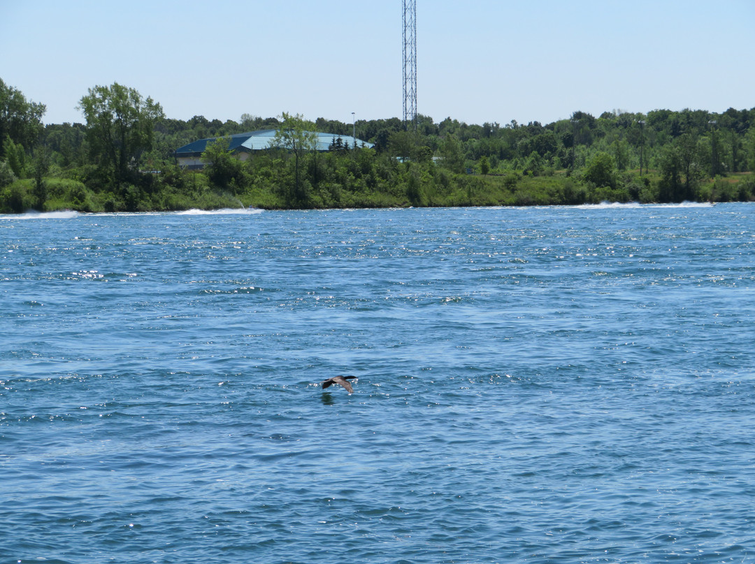 Lamoureux Park-康沃尔必去景点