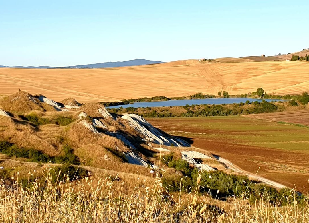 Just in Tuscany景点图片