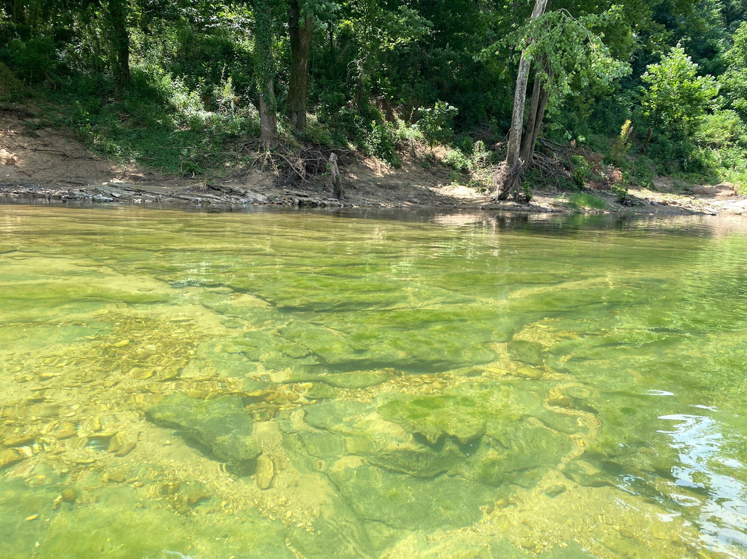 Wild Bill's Outfitter-阿肯色州必去景点