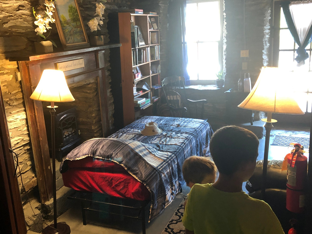 The Town's Inn主图