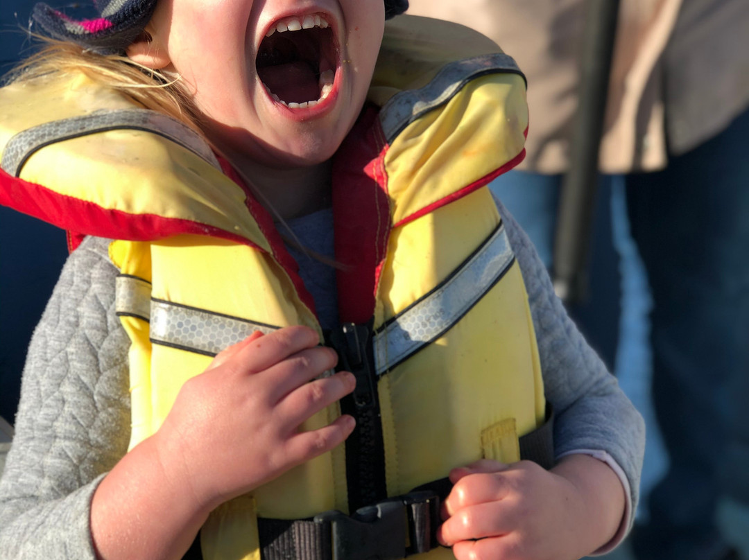 Fishing Waiheke - Day Tours-怀系奇岛必去景点