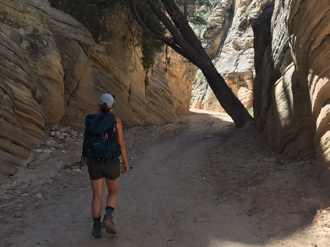 Lick Wash Slot Canyon-卡纳布必去景点