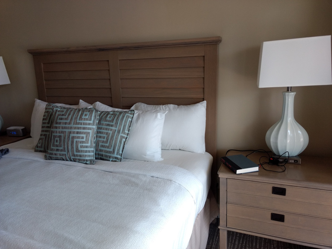 The Charter Club of Marco Beach主图