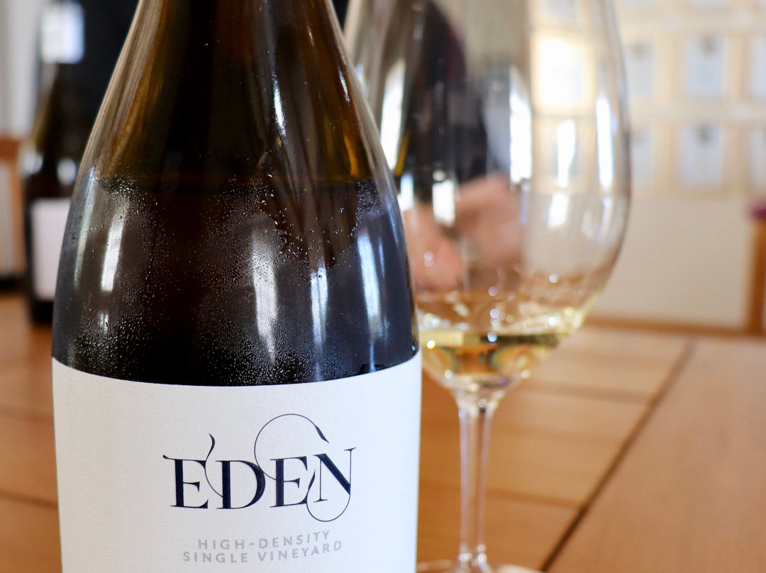 Raats Family Wines-斯泰伦博斯必去景点