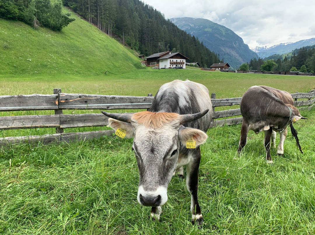 Landhaus Schober主图