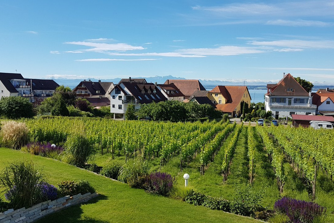 汉斯雅克酒店主图