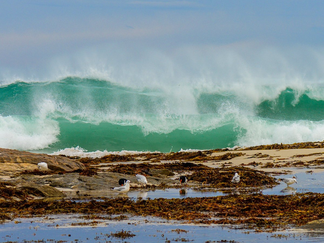 Margaret River Mouth Beach景点图片