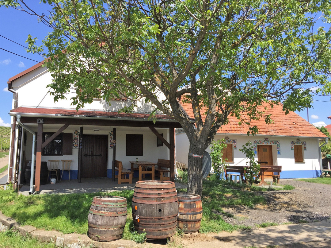 Wine Tours Moravia景点图片