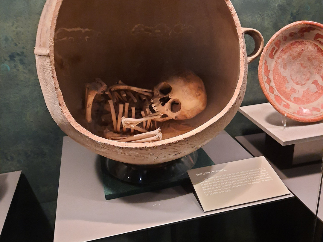 国家人类学博物馆 (Museo Nacional de Antropologia)-墨西哥城必去景点