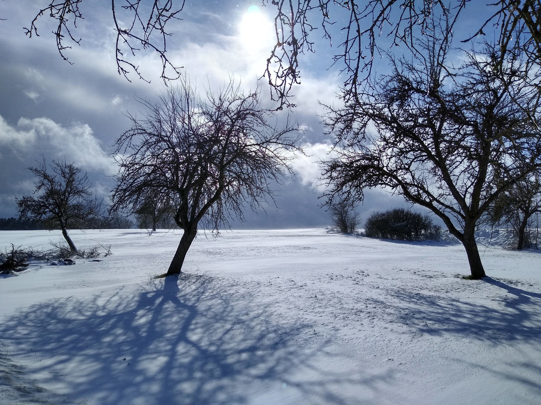 Dornhan旅游攻略图片