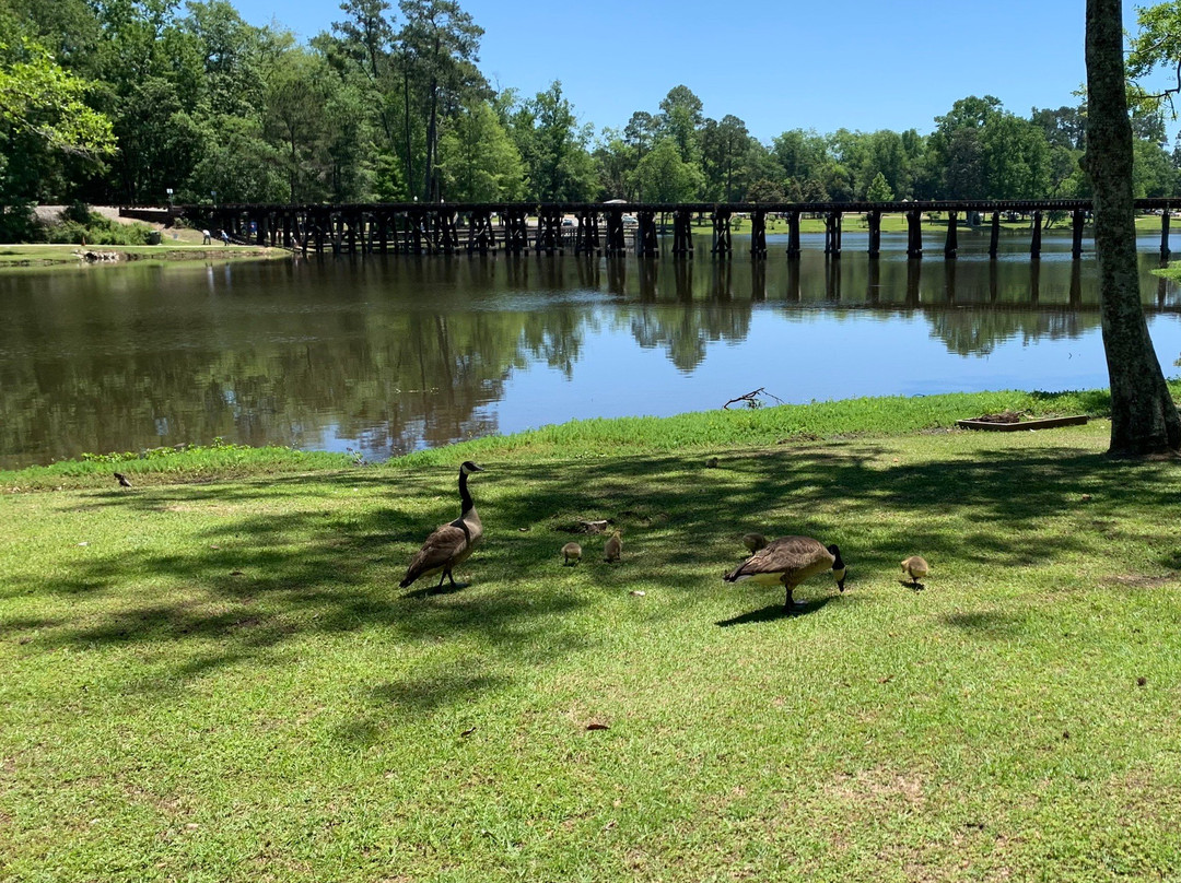 Cherokee Lake Park-Thomasville必去景点