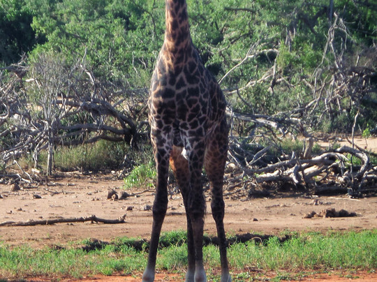 Kenya Watamu Safaris-瓦塔木必去景点