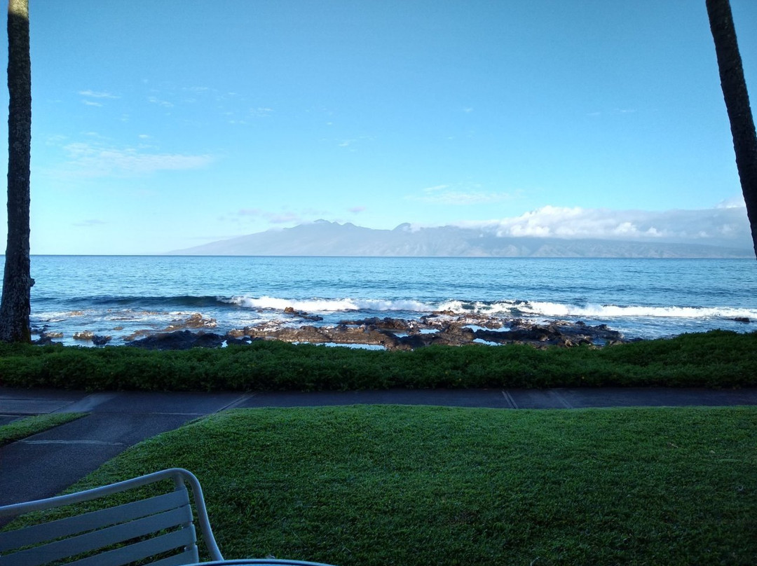 Napili Point Resort主图