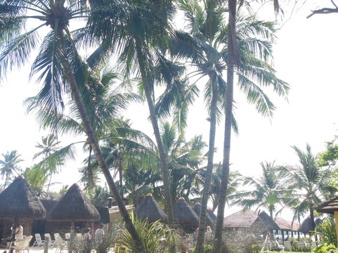 欧卡波拉酒店 - 全包式主图