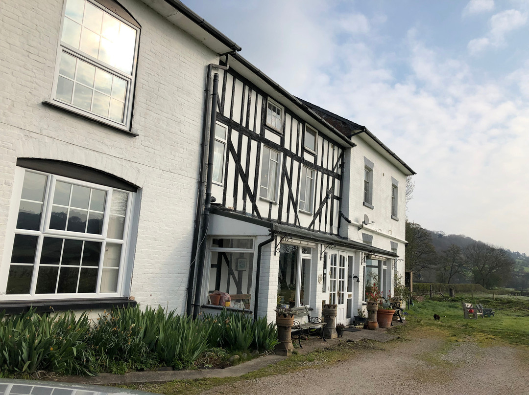 The Gro Guest House主图