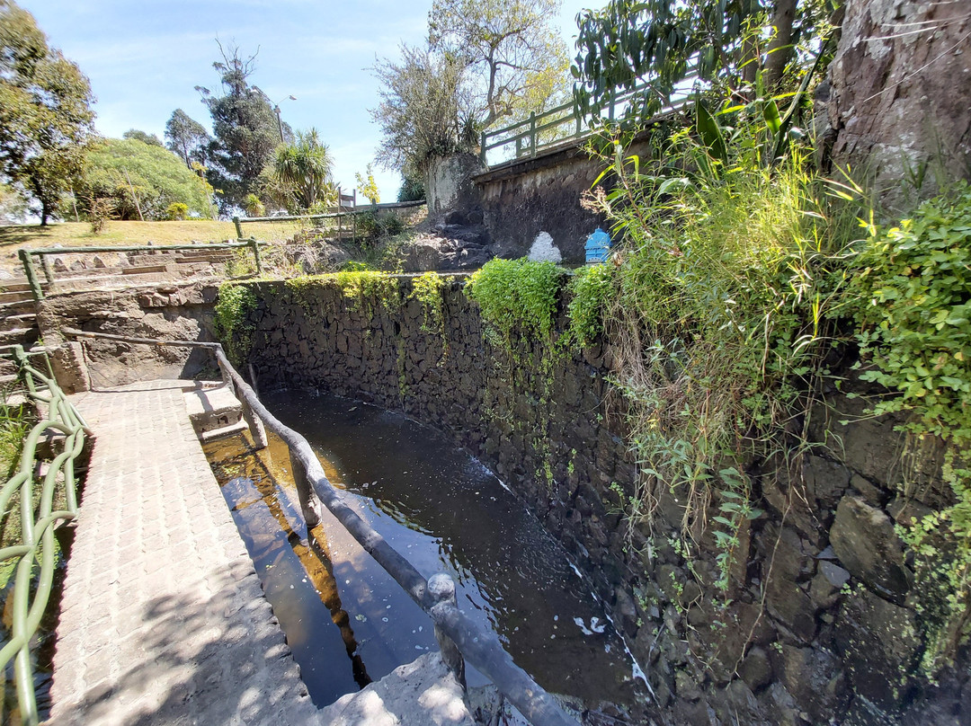 Parque Municipal La Cascada-Piriapolis必去景点