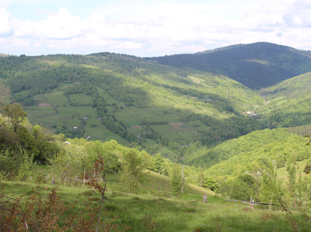 Apuseni Natural Park景点图片