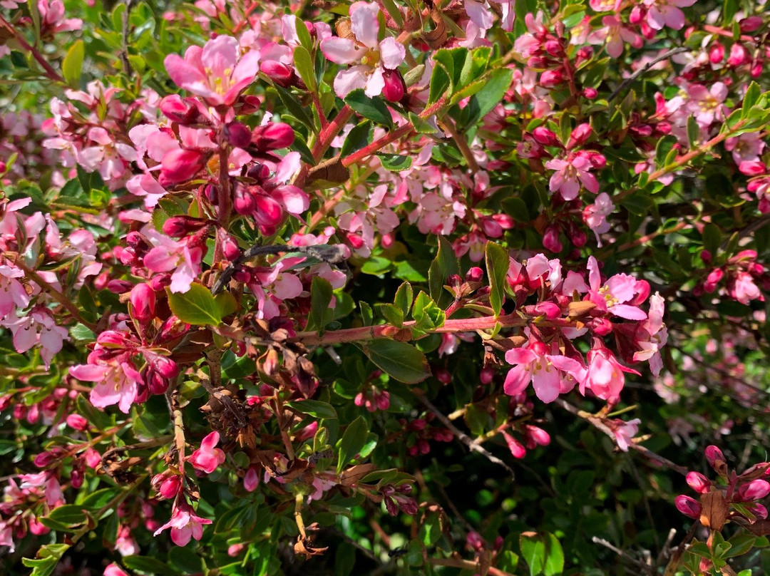 Victory Green-Stanley必去景点
