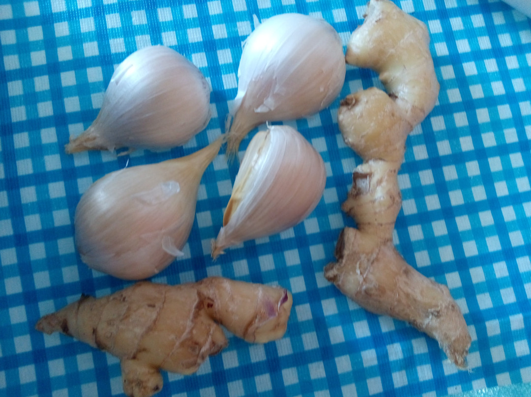 Humpy Nut World- 阿瑟顿必去景点