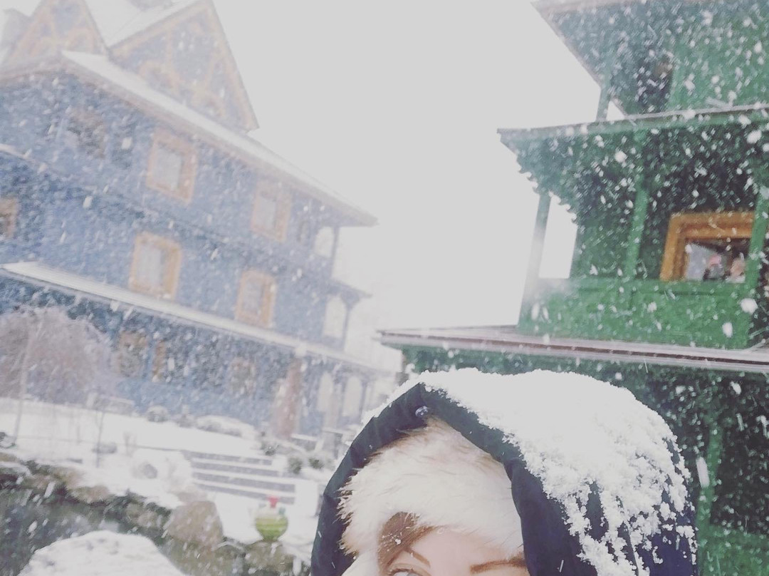 Norweska Dolina主图