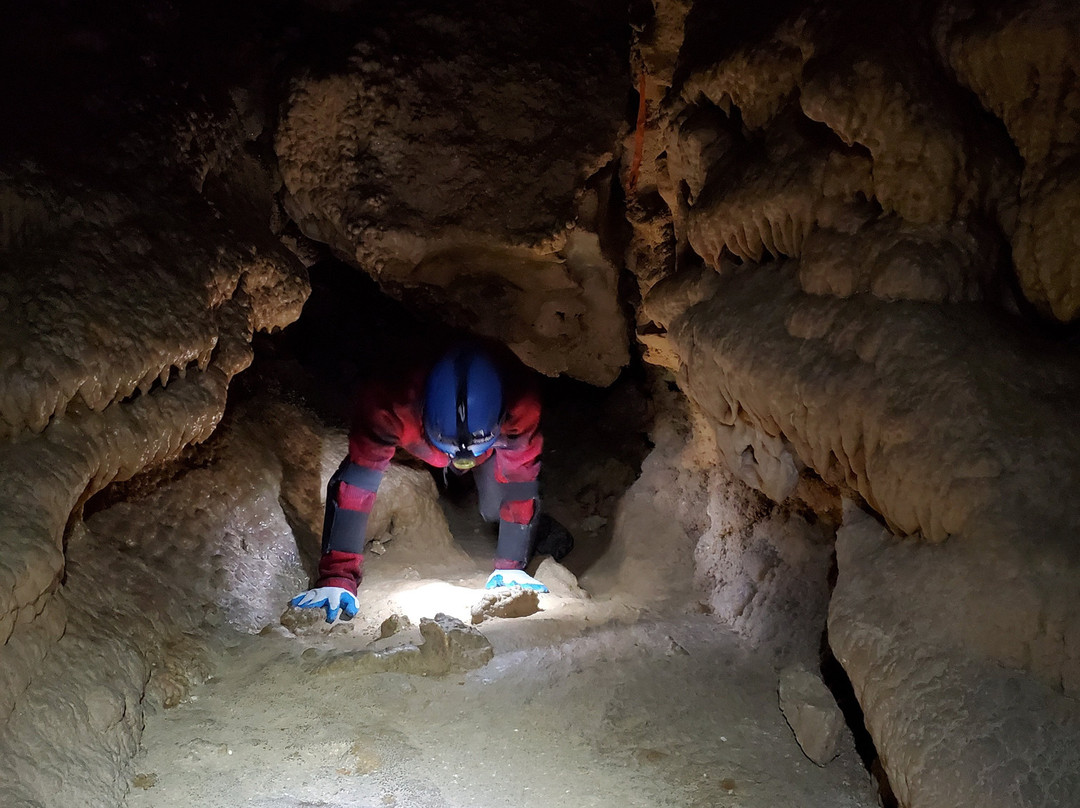 Hall of The White Giant-卡尔斯巴德洞穴国家公园必去景点