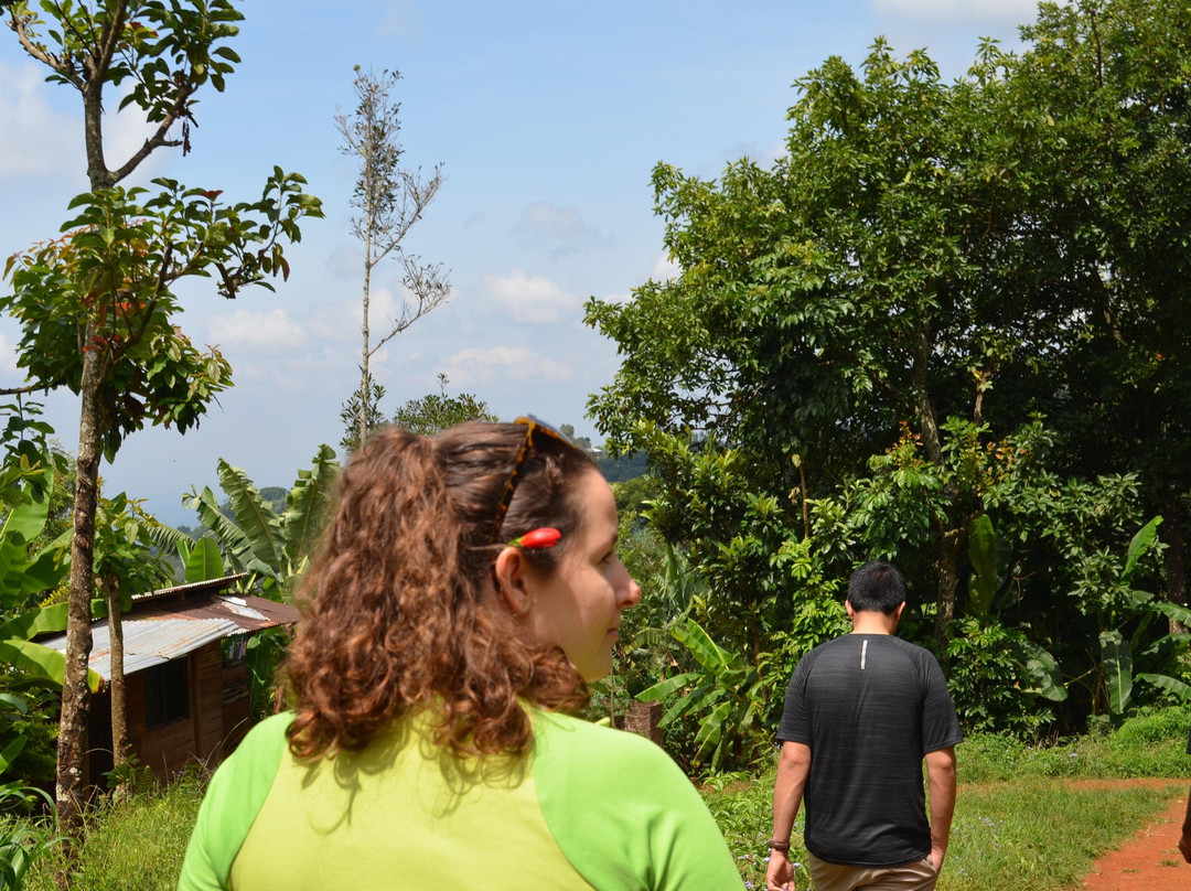 Sana Africa-阿鲁沙必去景点