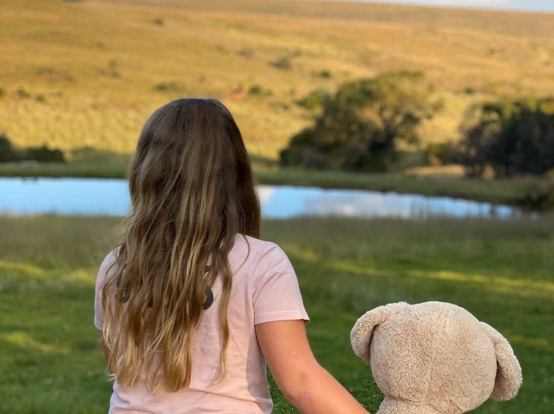 Cpirit Country Haven主图