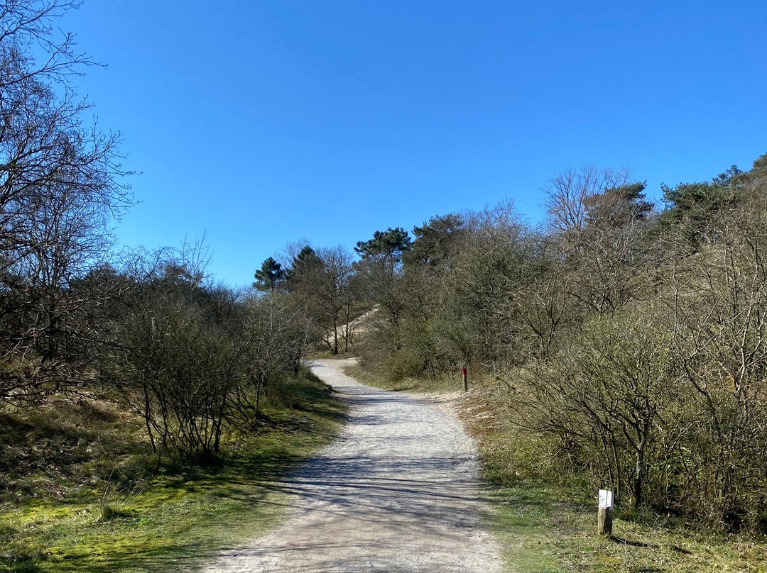 Duinreservaat Meijendel-Kievietsduin-Wassenaar必去景点
