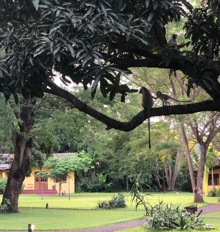 河边树乡村酒店主图