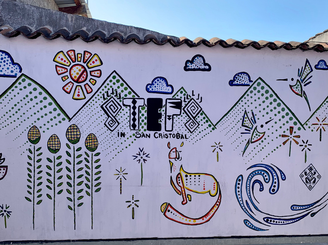 Steps in San Cristobal-圣克里斯托瓦尔-德拉斯卡萨斯必去景点