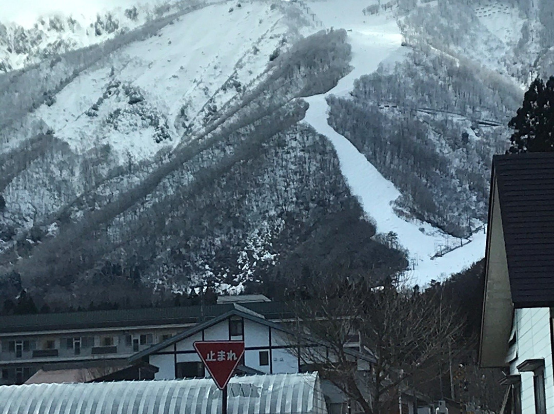 白马五龙公寓主图
