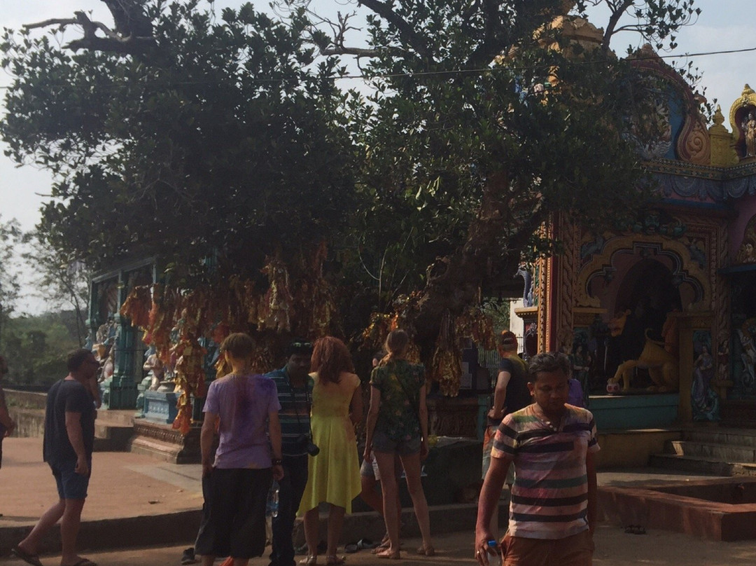 Maa Bauti Chandi Peeth-Badapokharia必去景点