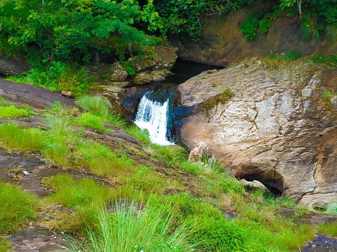 Kattikkayam Waterfalls景点图片