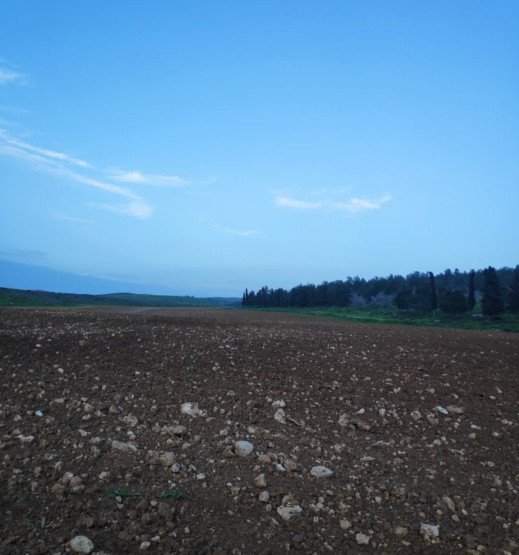 The Museum of Bedouin Culture-贝尔谢巴必去景点