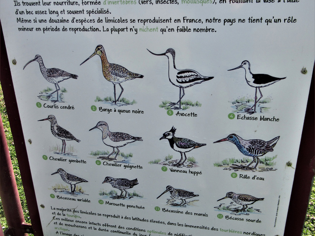 Parc Naturel du Patis-莫城必去景点