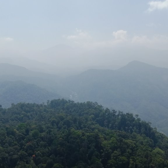 Nallamudi Viewpoint-Valparai必去景点