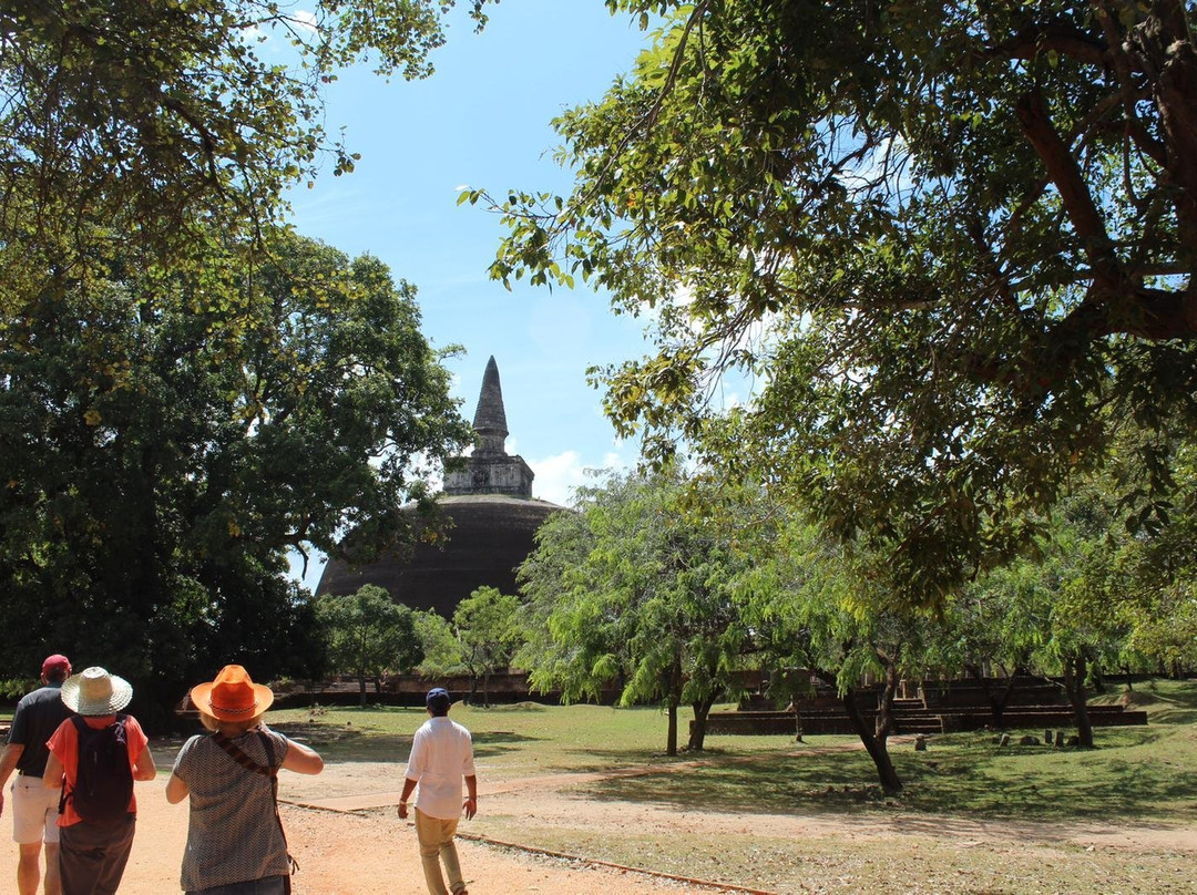 Tour To Sri Lanka景点图片