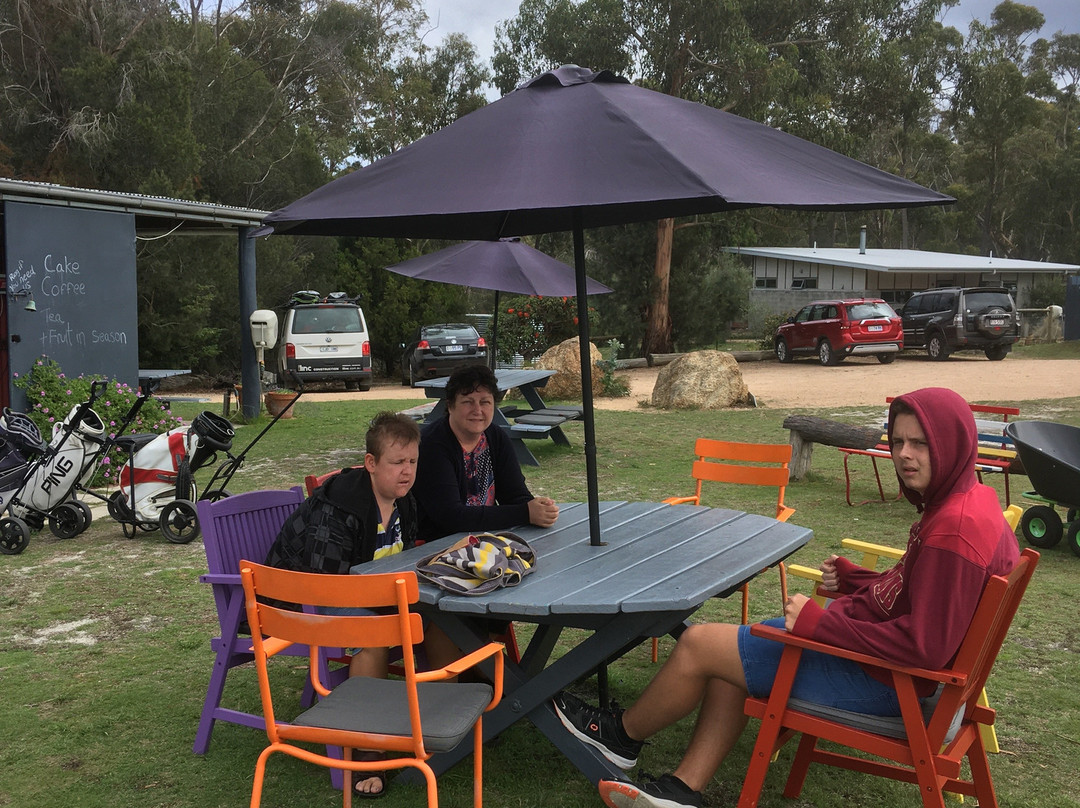 Cerise Brook Orchard and Family Golf Course景点图片