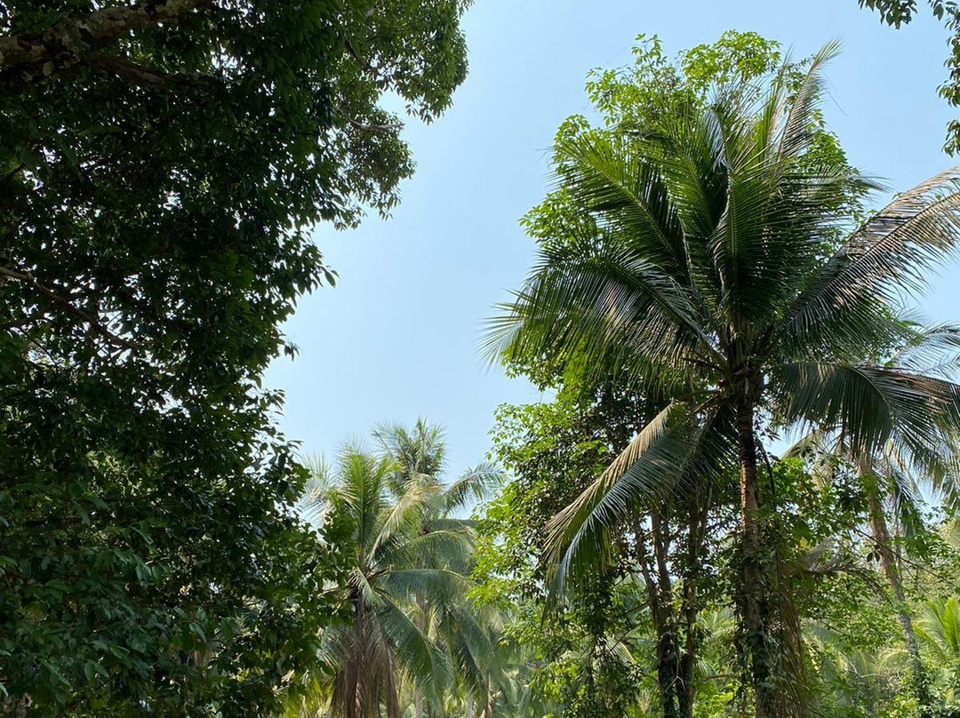 Wai Chaek Beach-象岛必去景点