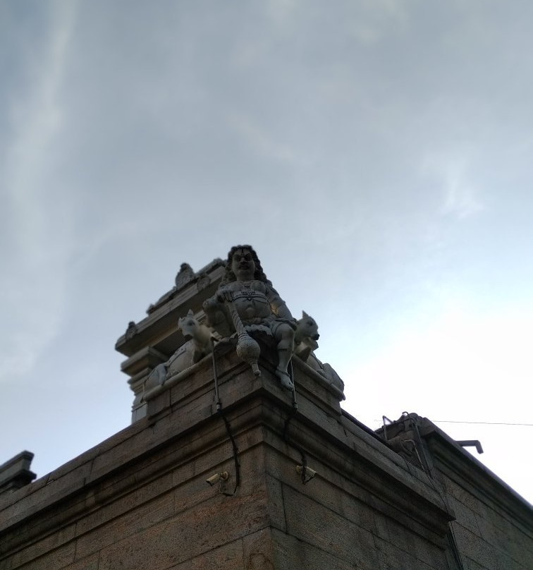 Singing Fish Tuk-科伦坡必去景点