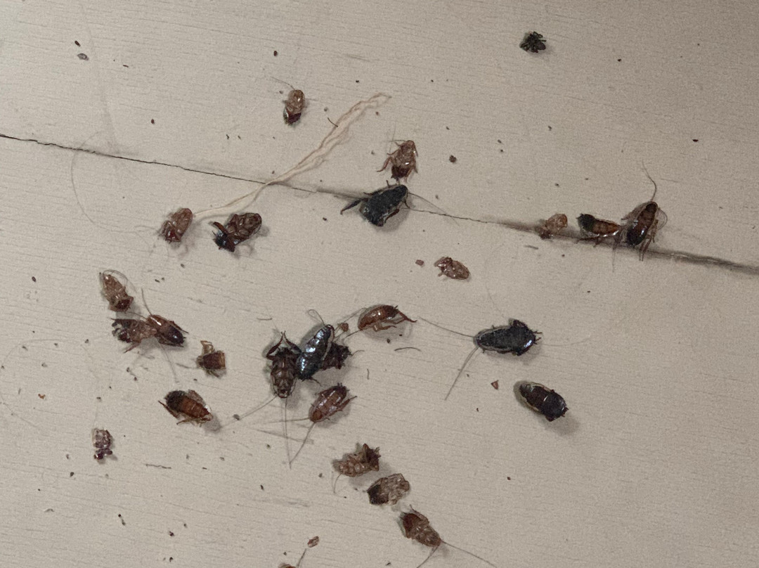 A Place To Be Retreat主图