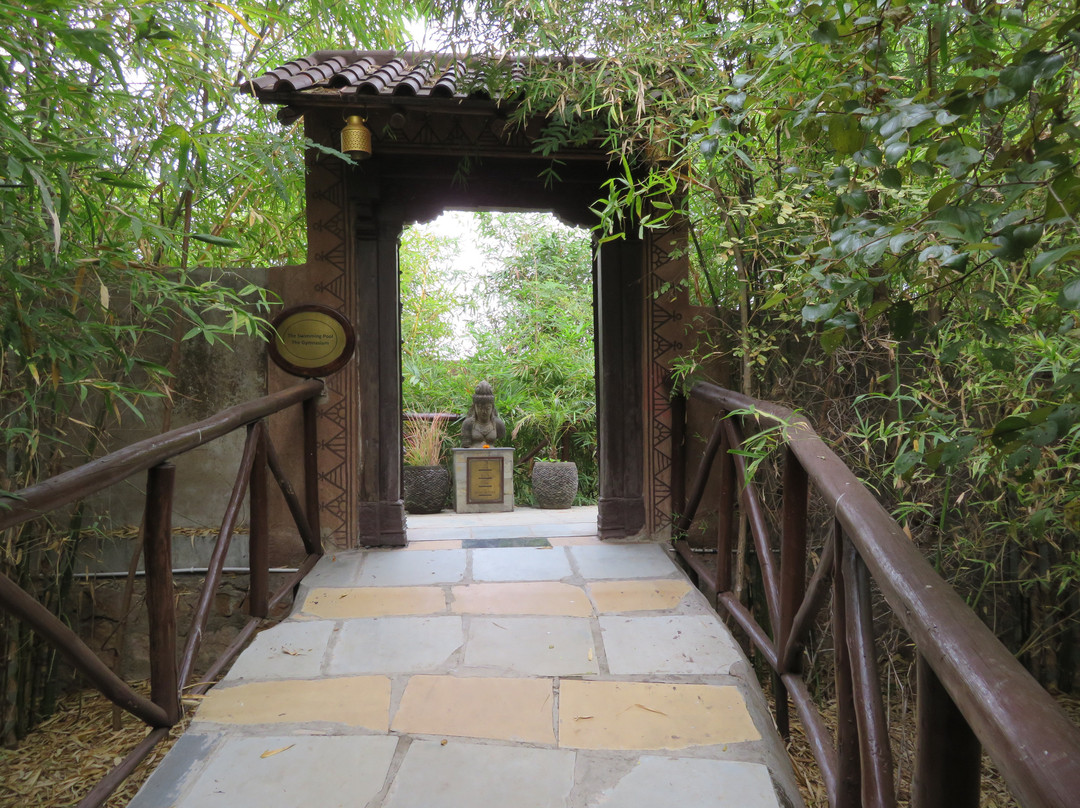 The Bamboo Forest Safari Lodge主图