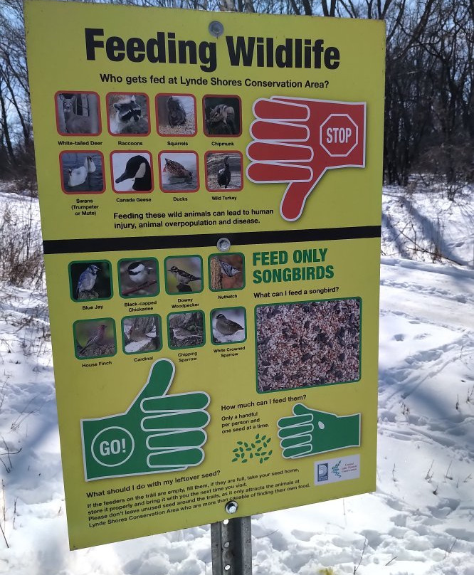 Lynde Shores Conservation Area景点图片