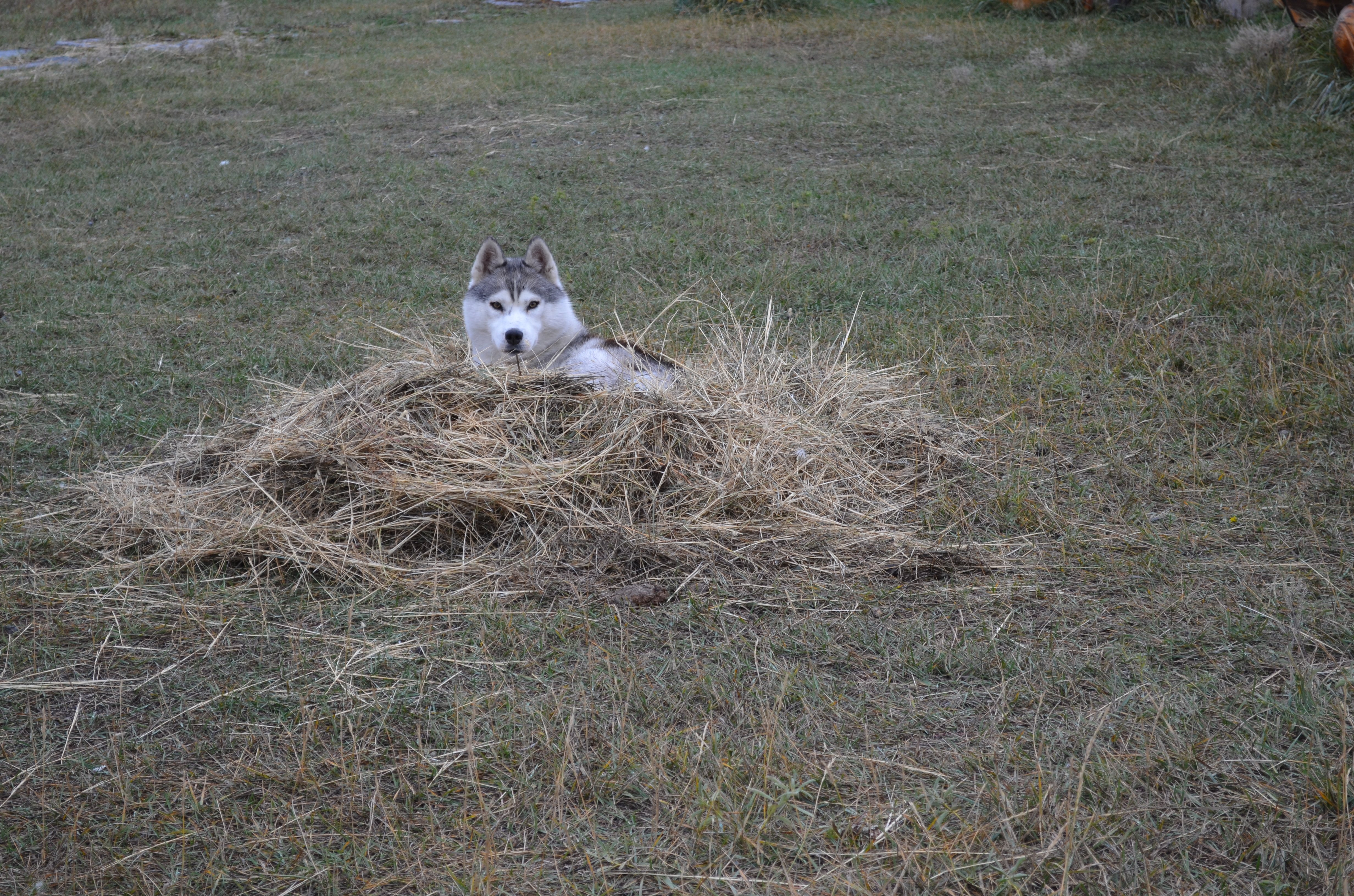 Baikalsky Plyos-浴室