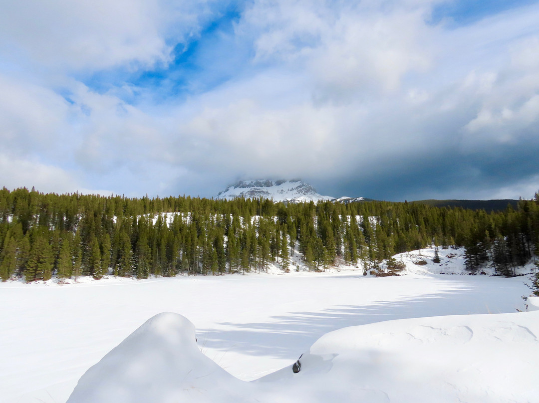 Allison Lake Cross Country Ski Trails-科尔曼必去景点