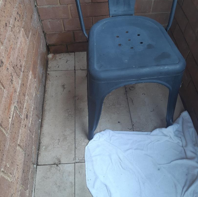 棕榈庭院汽车酒店主图